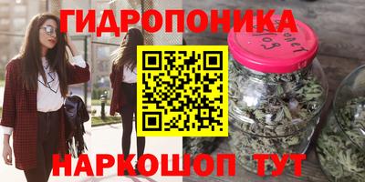 apvp Гусев