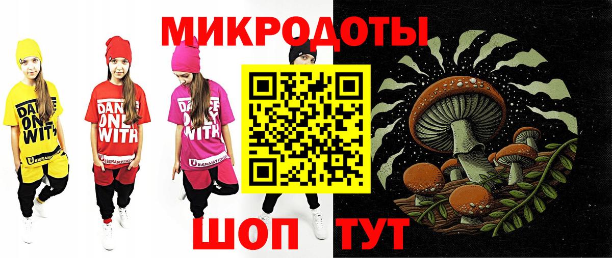 Галлюциногенные грибы Psilocybe Клинцы
