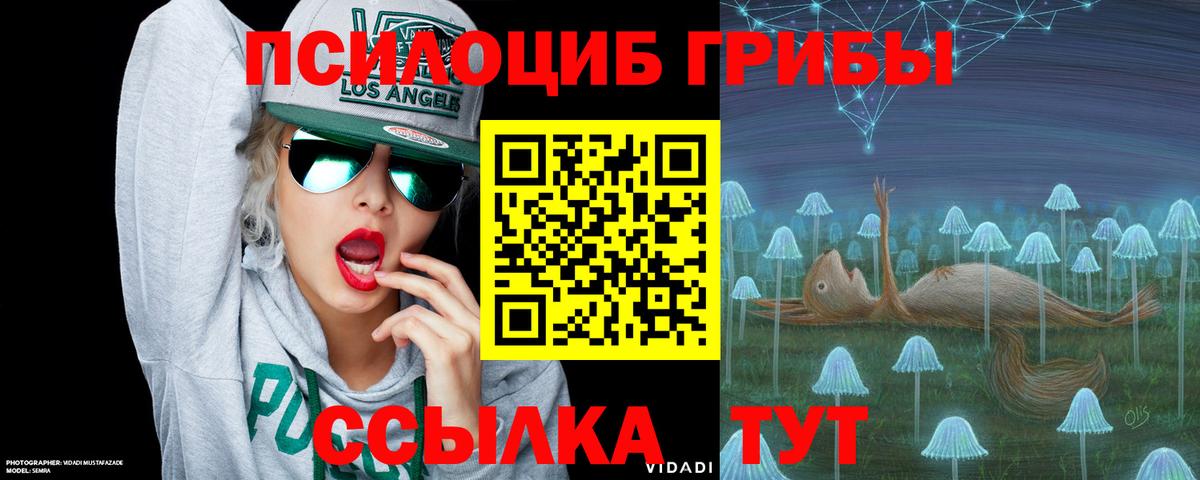 Клинцы  Галлюциногенные грибы мицелий  Вход с VPN  Галлюциногенные грибы Psilocybine cubensis 